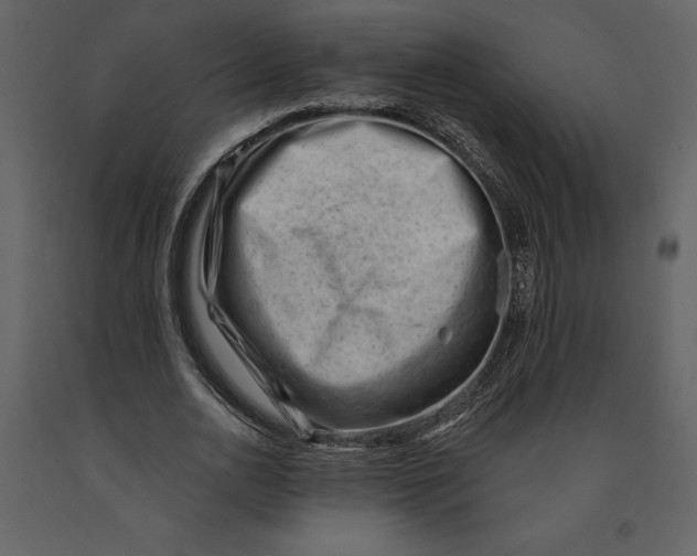 X0000090970726200708241315