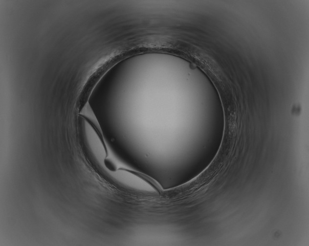 X0000090970727200708241315