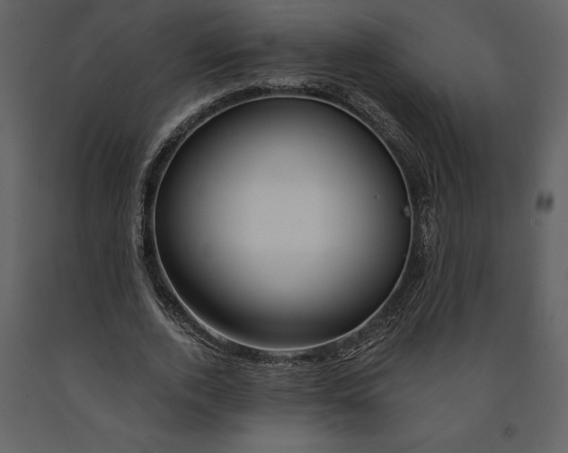 X0000090970728200708241315