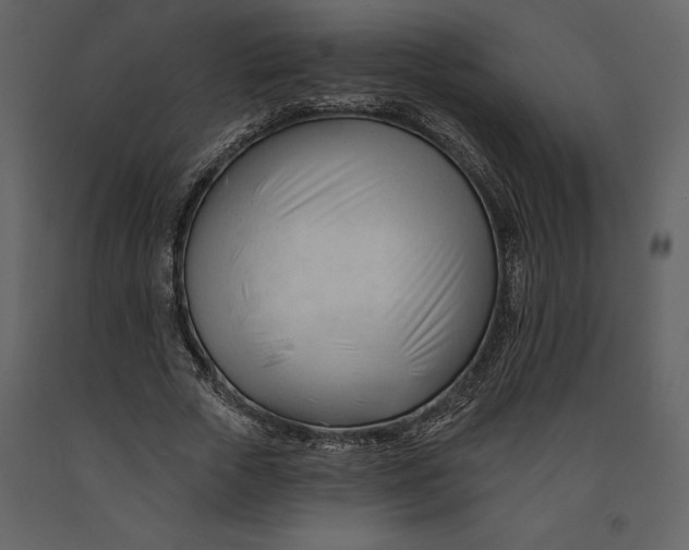 X0000090970729200708241315