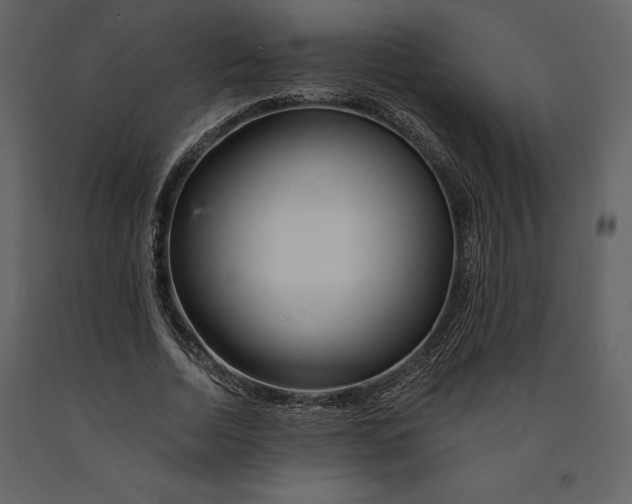 X0000090970730200708241315