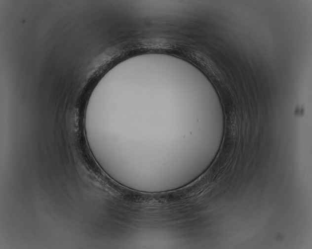 X0000090970731200708241315