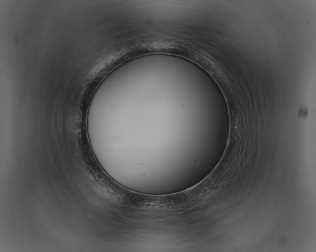 X0000090970732200708241315