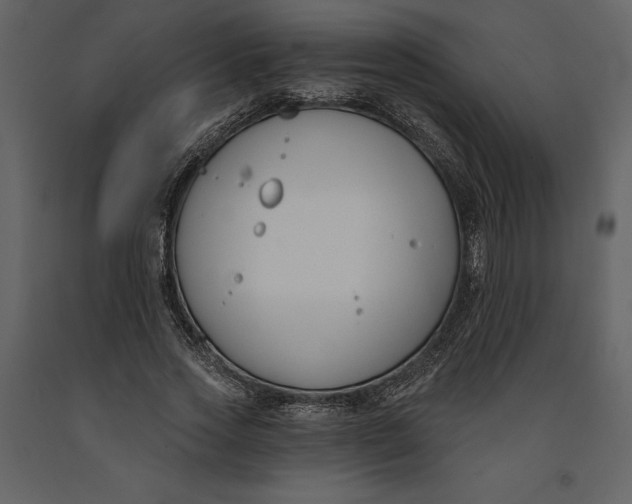 X0000090970733200708241315