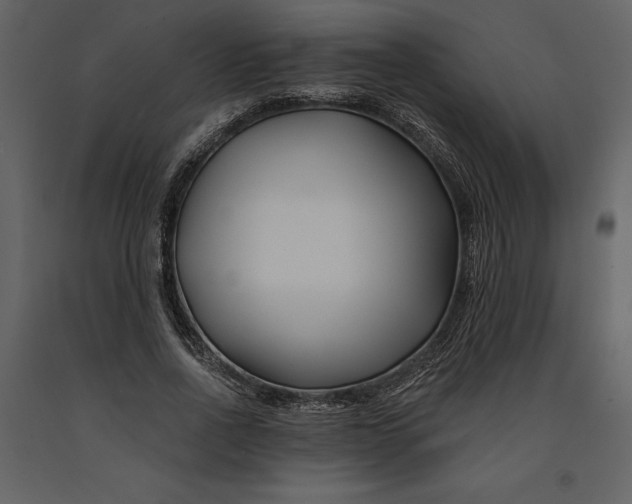 X0000090970734200708241315