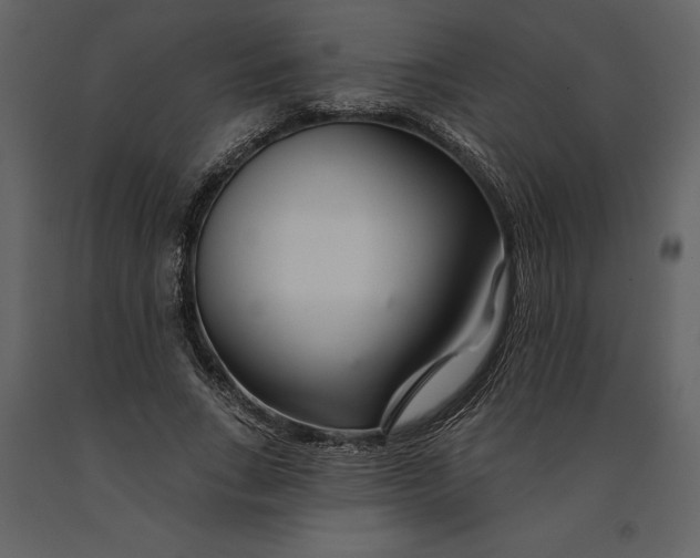 X0000090970735200708241315