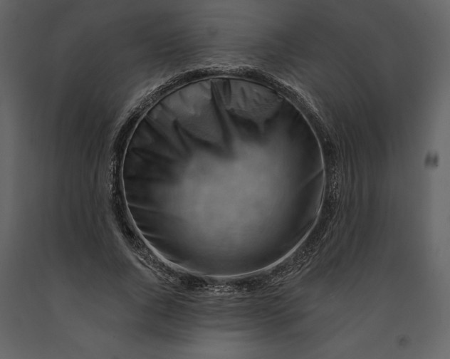 X0000090970736200708241315