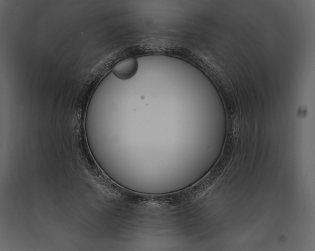 X0000090970737200708241315