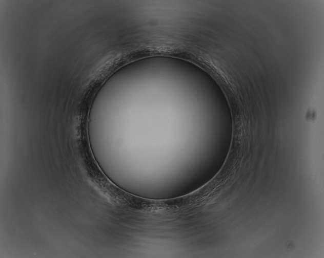 X0000090970738200708241315