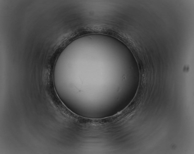 X0000090970739200708241315