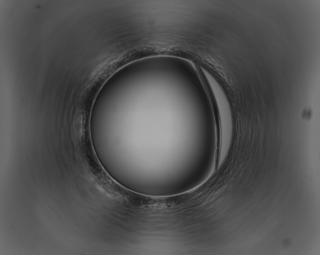 X0000090970740200708241315