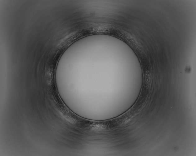 X0000090970741200708241315