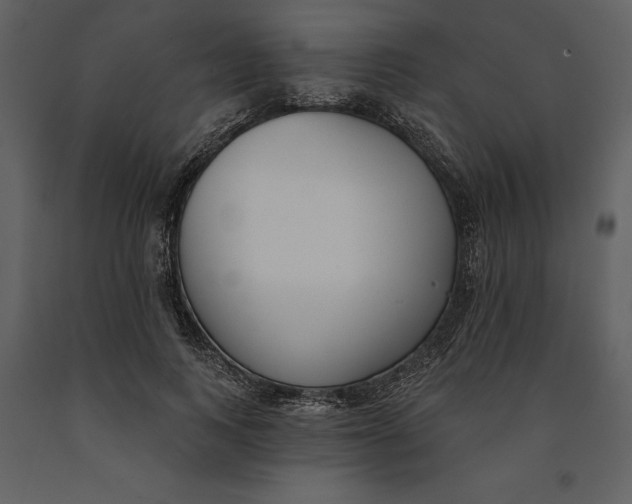 X0000090970743200708241315