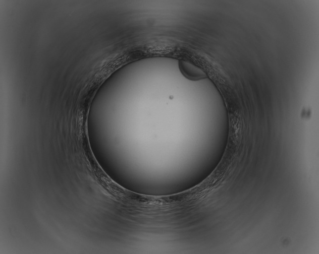 X0000090970745200708241315