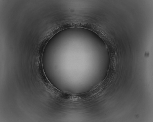 X0000090970746200708241315