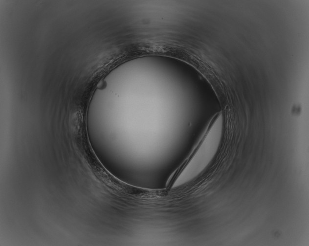 X0000090970747200708241315