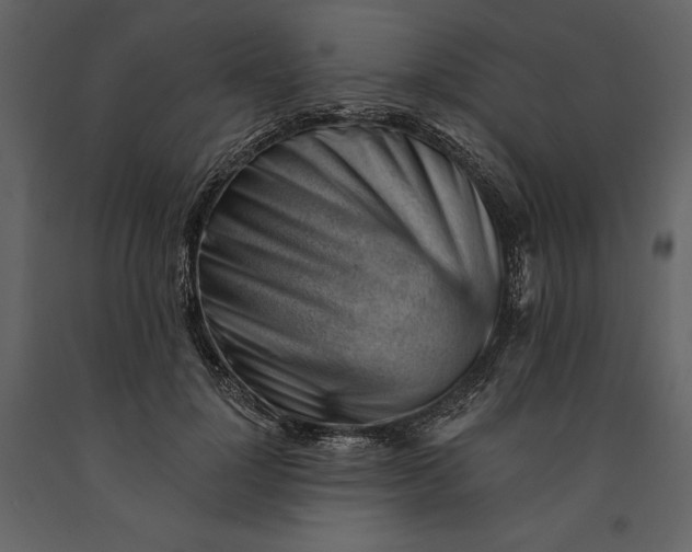 X0000090970748200708241315