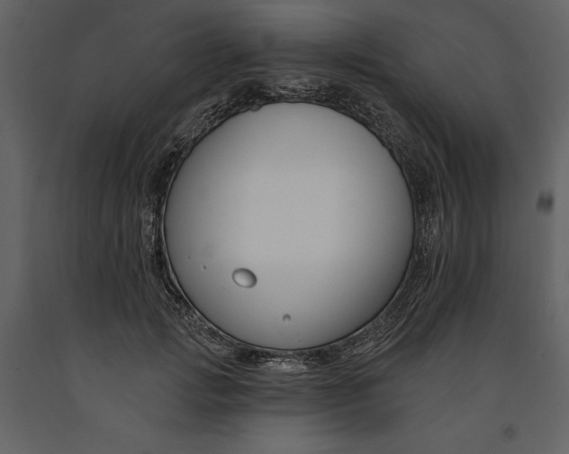 X0000090970749200708241315