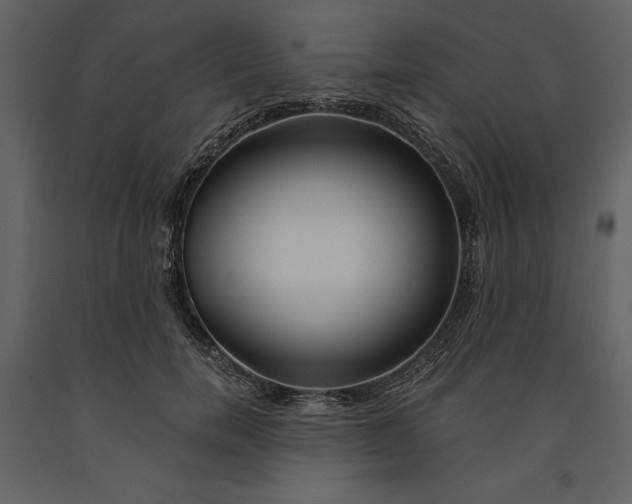 X0000090970750200708241315