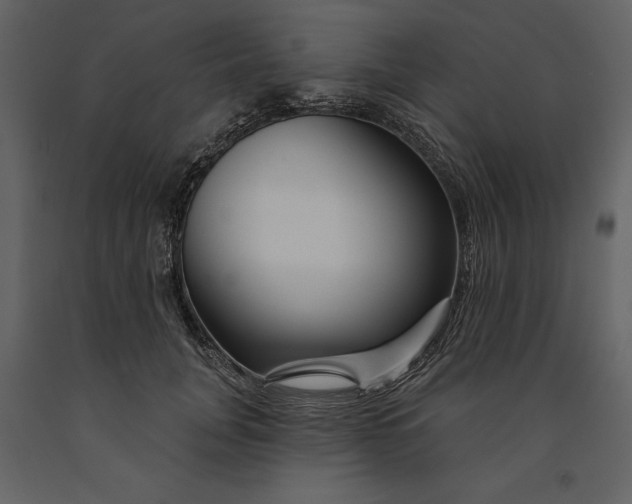 X0000090970751200708241315