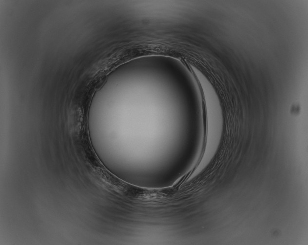 X0000090970752200708241315