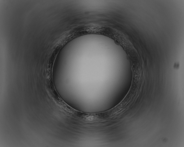 X0000090970755200708241315