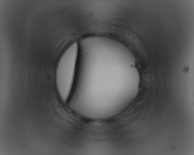 X0000090970756200708241315