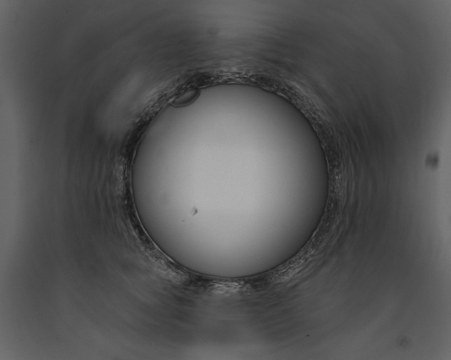 X0000090970757200708241315