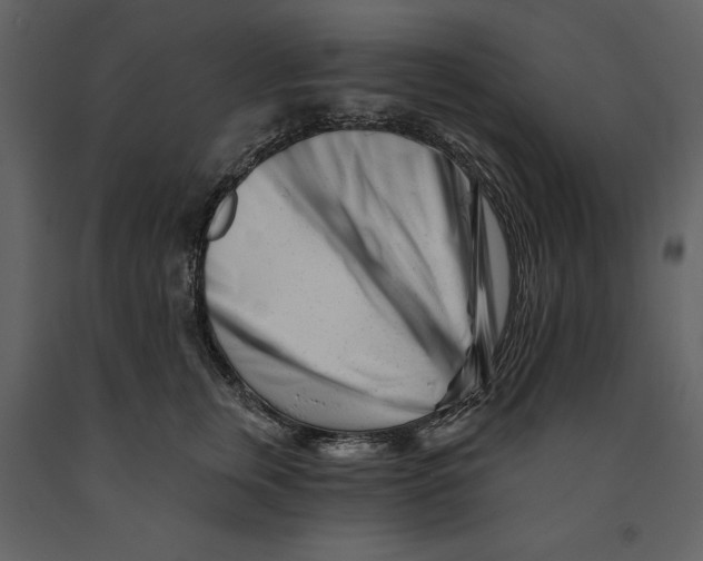 X0000090970759200708241315