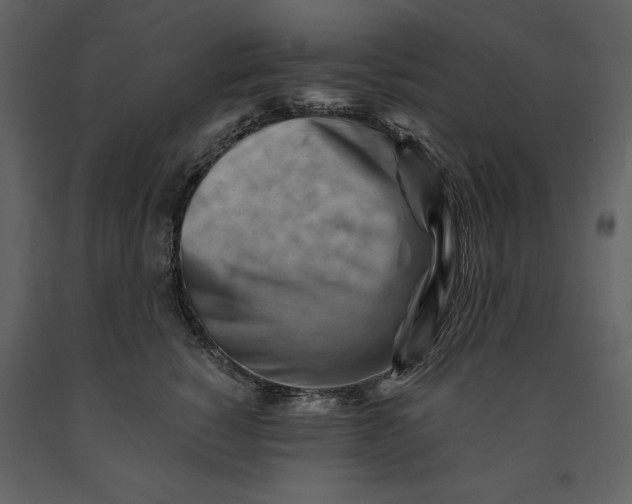 X0000090970760200708241315