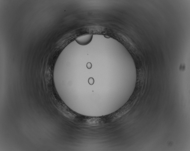 X0000090970761200708241315