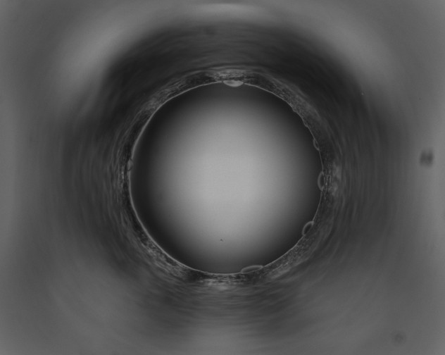 X0000090970763200708241315