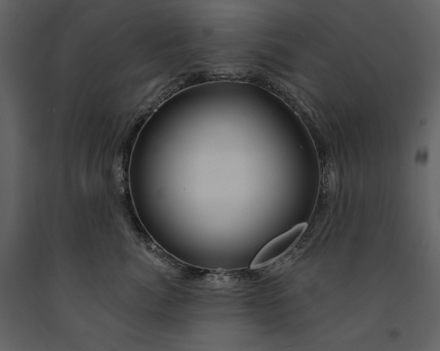 X0000090970764200708241315