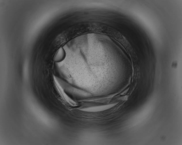 X0000090970765200708241315