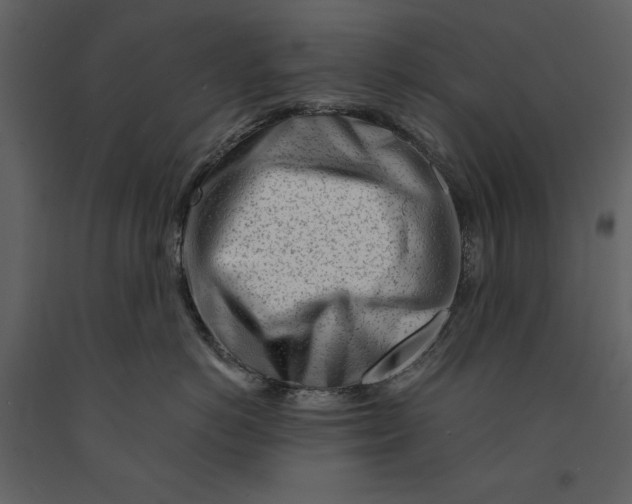 X0000090970766200708241315