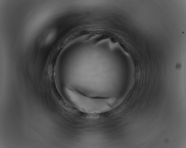 X0000090970767200708241315