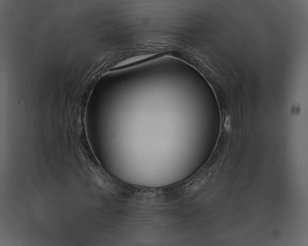 X0000090970771200708241314