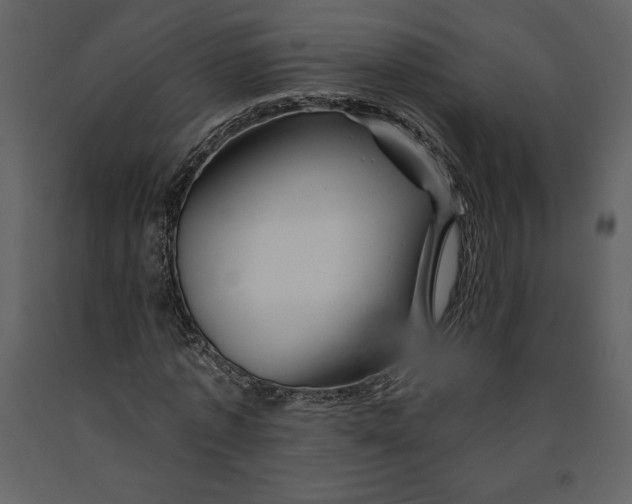 X0000090970773200708241314