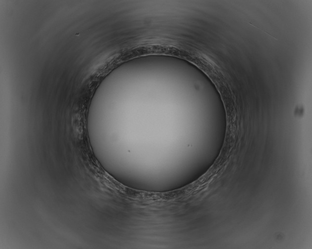 X0000090970774200708241314