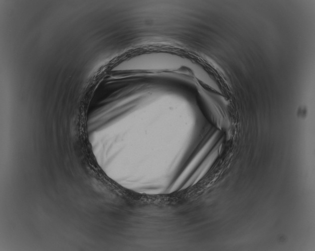 X0000090970775200708241314