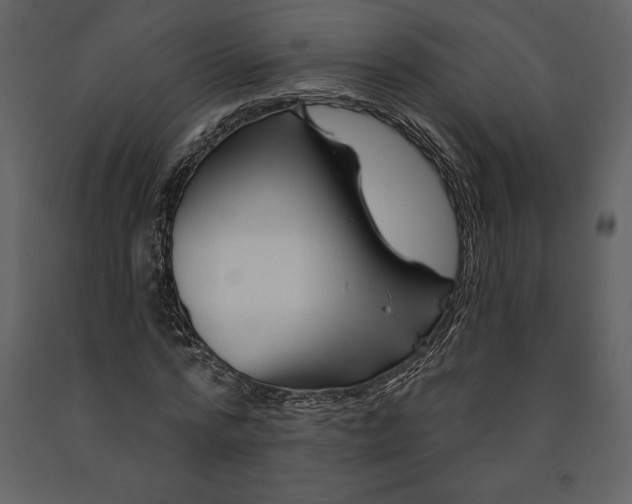 X0000090970776200708241314