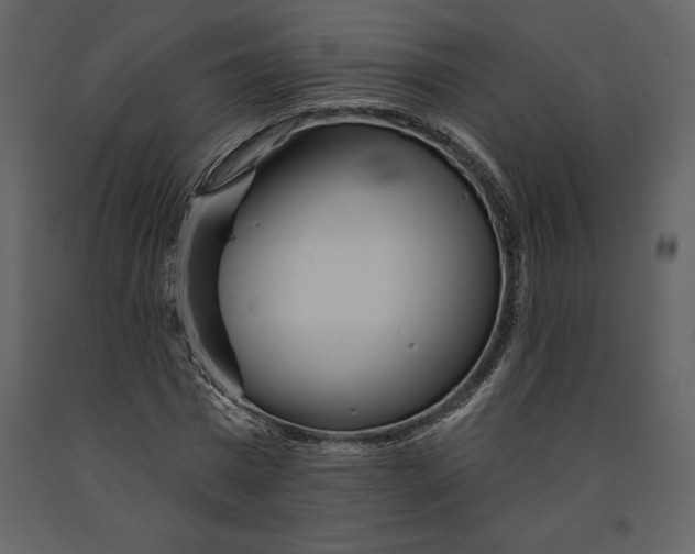 X0000090970777200708241314