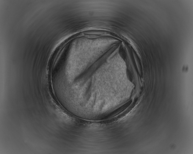 X0000090970779200708241314