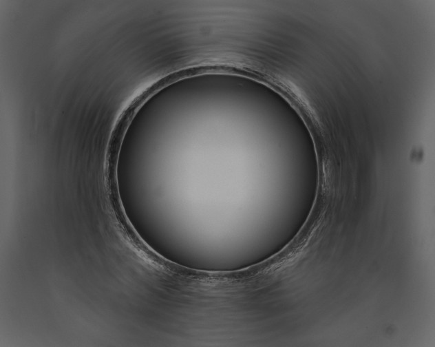 X0000090970780200708241314