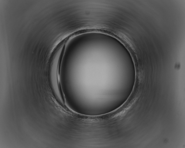 X0000090970781200708241314