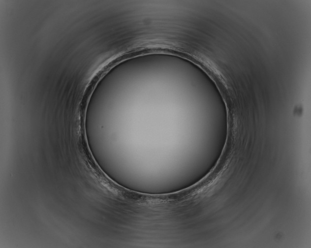 X0000090970782200708241314