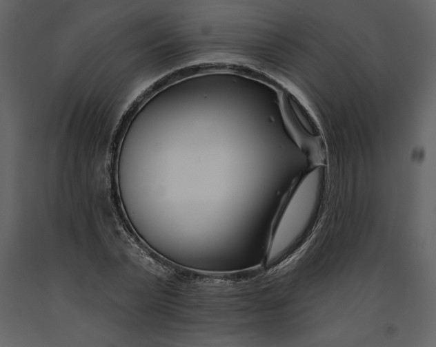 X0000090970783200708241314