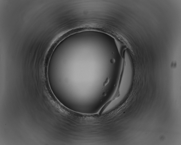 X0000090970784200708241314