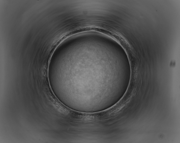 X0000090970785200708241314