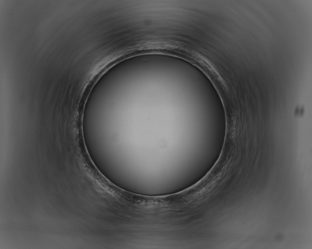 X0000090970786200708241314